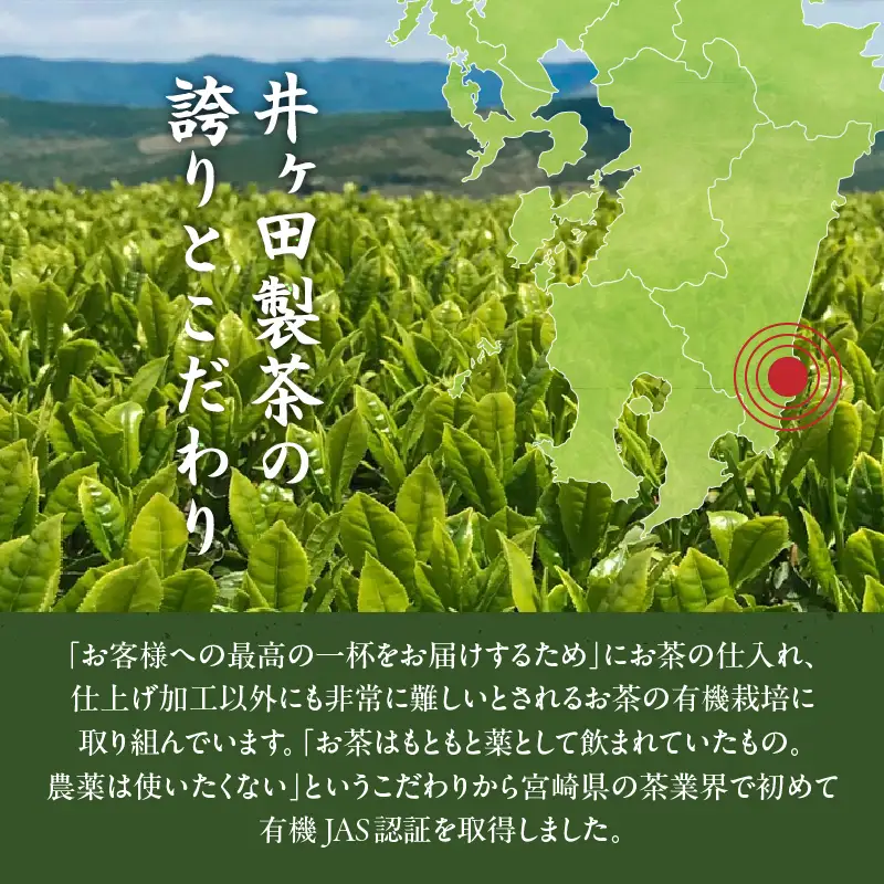 日本茶AWARD2024 プラチナ賞 受賞 有機煎茶黒山 3袋セット 合計240g 飲料 お茶_BD147-26