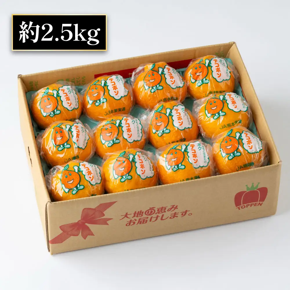 熊本県産 蔵熟デコポン 約2.5kg （ 9 ～ 12玉 ） 果物 フルーツ 果実 果汁 果肉 国産 柑橘 冷蔵 旬 旬の果物 【 2027年4月上旬～5月上旬発送予定 】