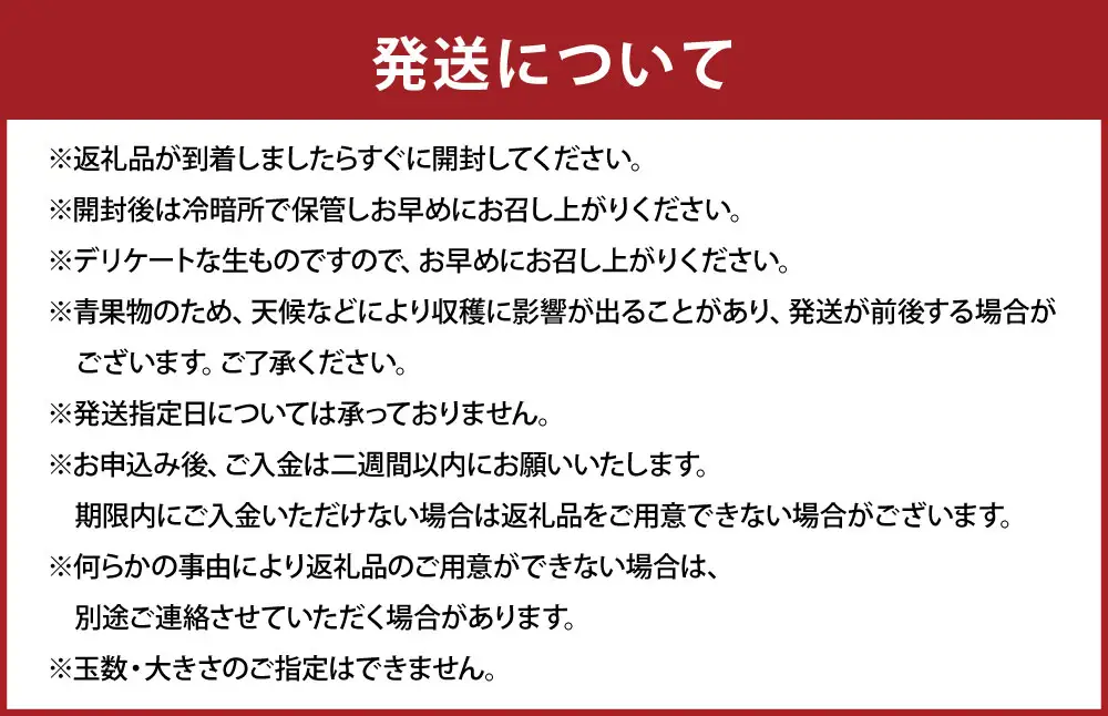 【 2か月定期便 】 熊本 みかん 定期便 （ 11月 ・ 12月発送 ） 果物 フルーツ 果実 果汁 果肉 国産 柑橘 冷蔵 定期 定期配送 旬 旬の果物