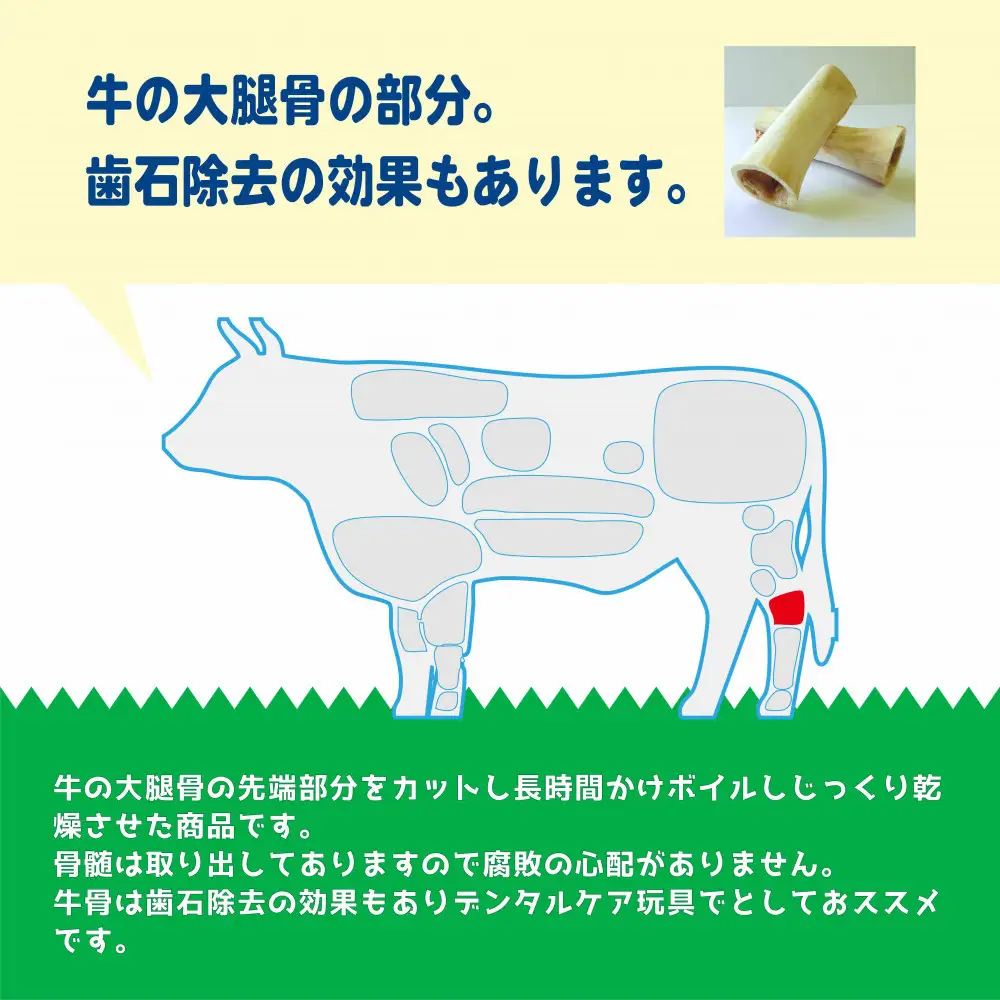 精肉店がこだわった 犬のおやつ【デンタル玩具としておすすめです！】国産牛ゲンコツ 1本 無添加 手作り　Lovelybone