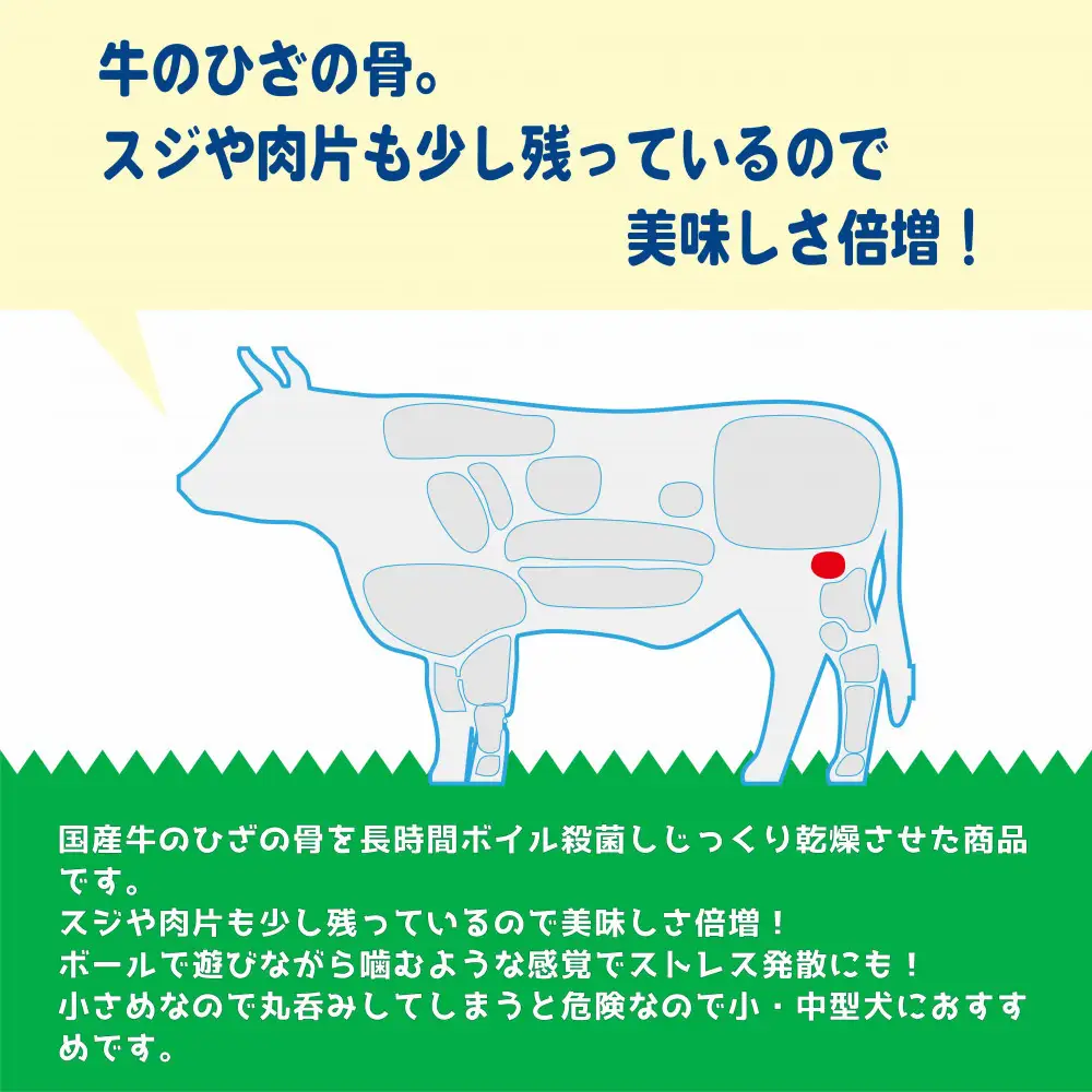 精肉店がこだわった　犬のおやつ【小・中型犬におすすめ】国産牛グリ骨ミニサイズ 2個 無添加 手作り　Lovelybone