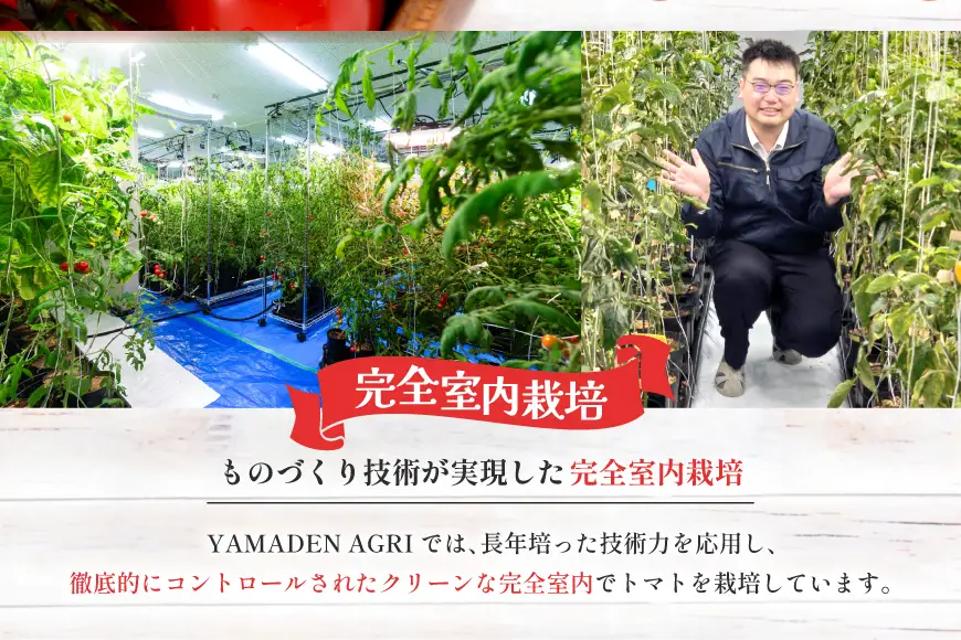 ミニ トマト 100g