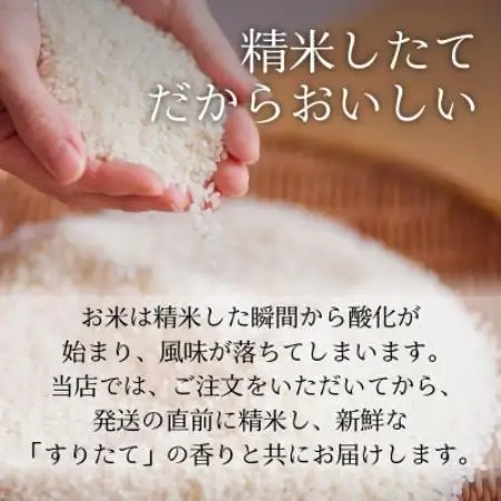 令和8年産 新米 銀河のしずく 15kg 岩手県 遠野産 農家直送 精米したてをお届け【はまだ農園】【1789592】