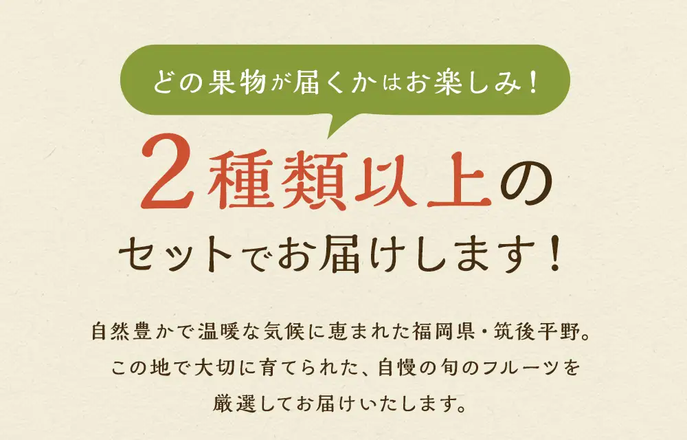 【11月～12月発送】 旬の果物 詰め合わせ セット 福岡県産 フルーツ 季節 果物
