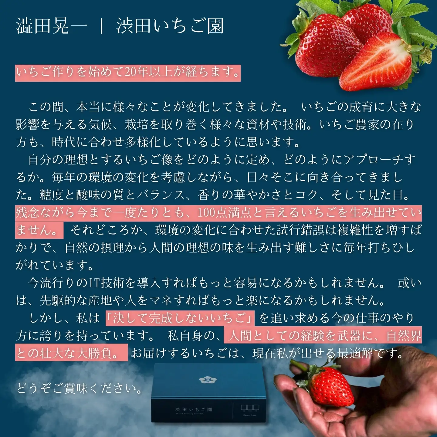 【先行受付！2027年1月から発送開始】佐賀県産いちご　こころの色&はるひ　紅白セット：B140-133