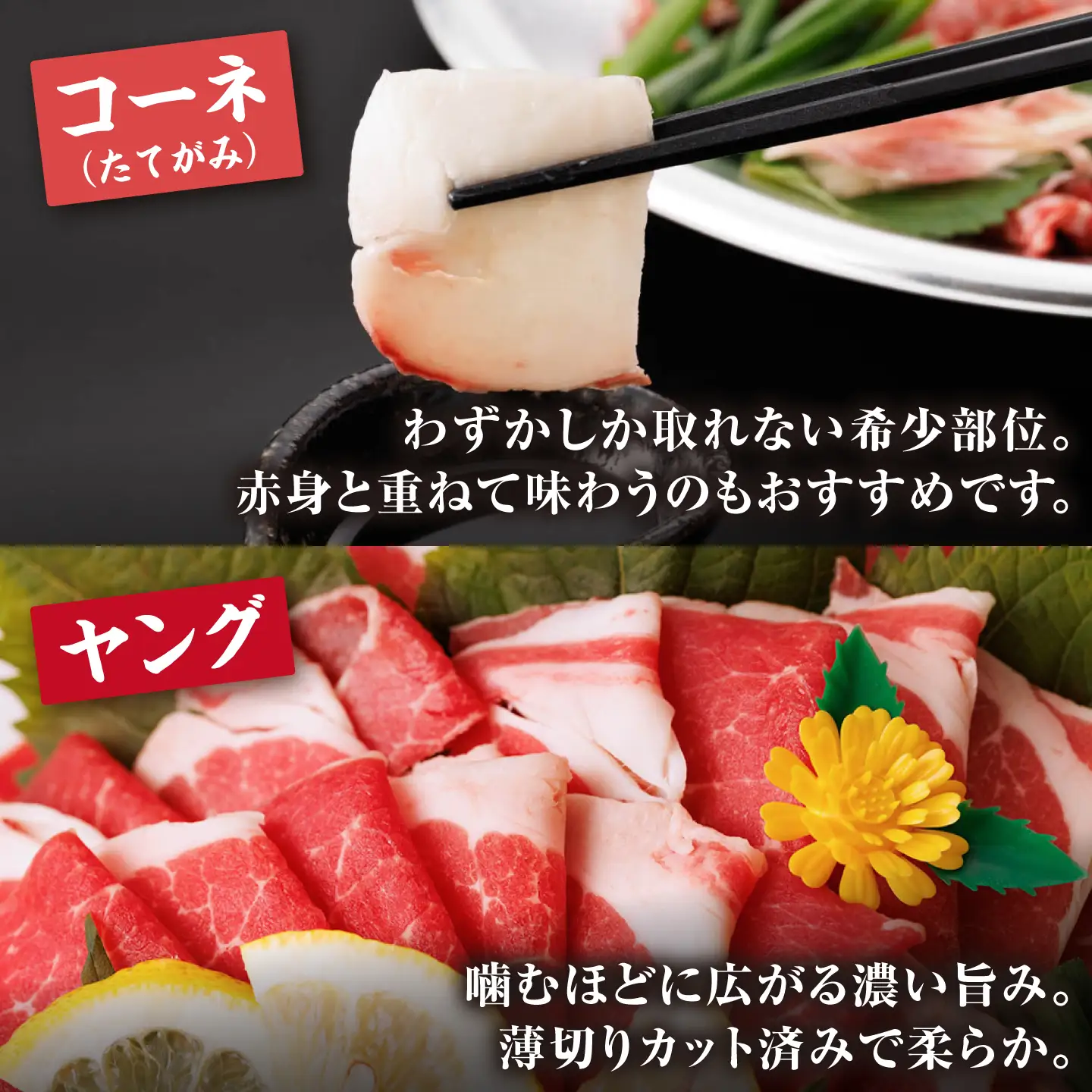 熊本 馬刺し さくら満喫セット 4種 計200g 2～3人前 【馬刺しの郷 民守】[ZBL124]