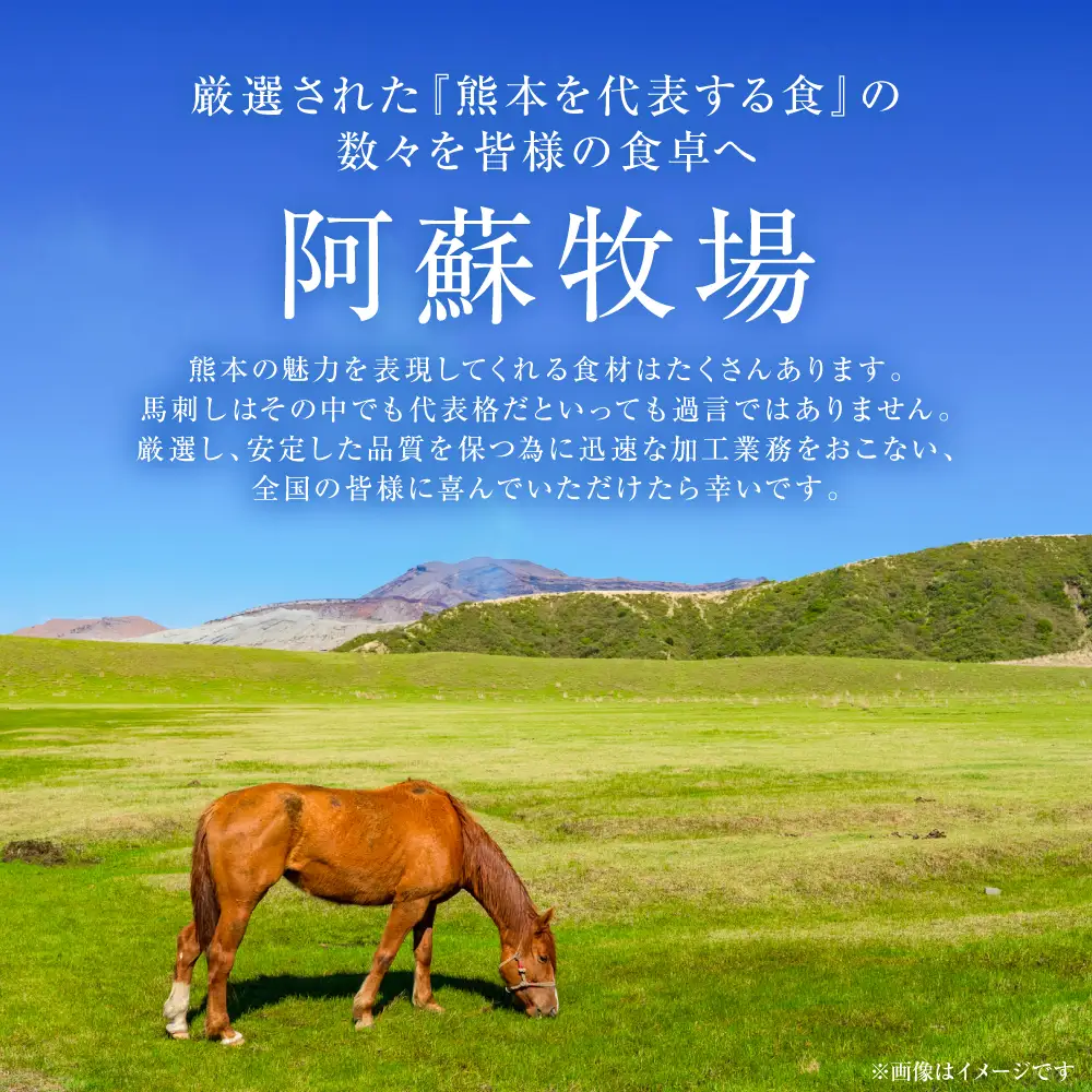馬肉 国産 馬刺し ユッケ 500g（50g×10個） 馬肉