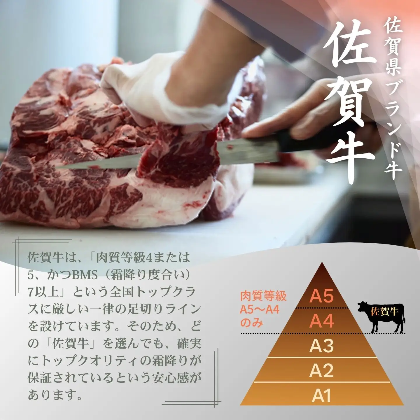 【佐賀牛定期便】ミルフィーユロールステーキ12個　全12回：C232-028