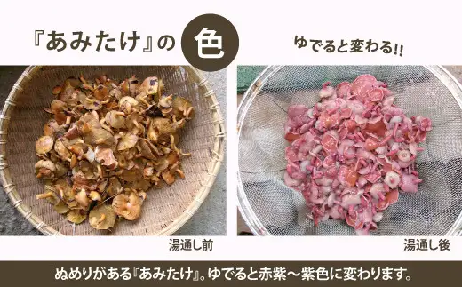 天然きのこ いろいろ水煮 250g × 2 75P079003 【赤坂実】
