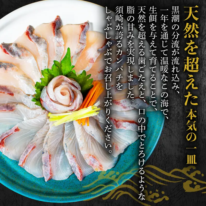 カンパチ しゃぶしゃぶ カンパチしゃぶ 用 1kg 