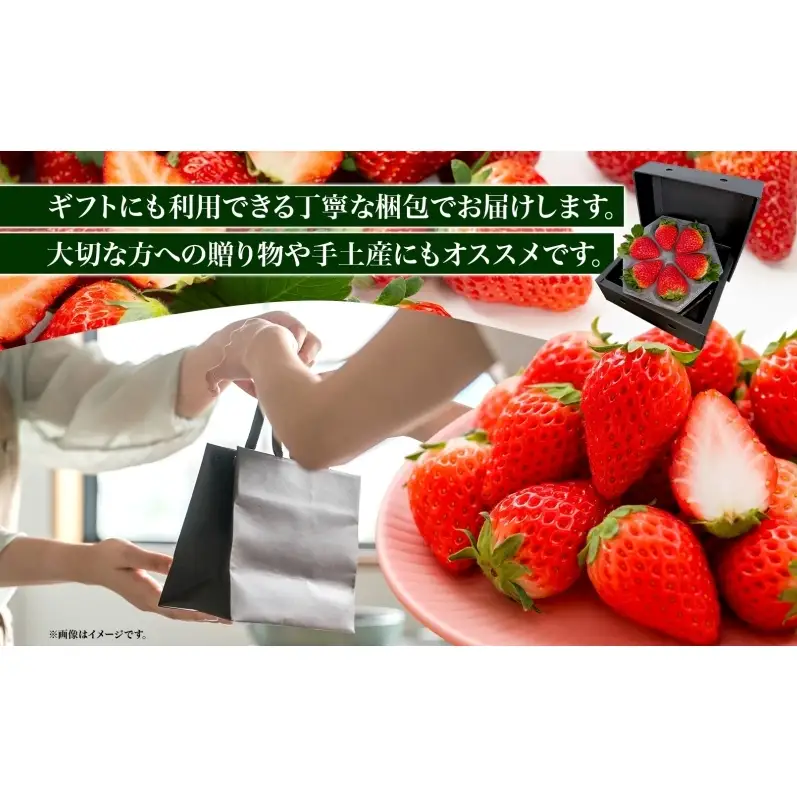 いちご 美濃娘 6粒 150g以上 苺 イチゴ フルーツ 旬 甘い 果物 みのむすめ 国産 おやつ デザート ギフト プレゼント ダイヤベリー美濃 岐阜県 美濃市 お届け:2027年1月1日～3月10日