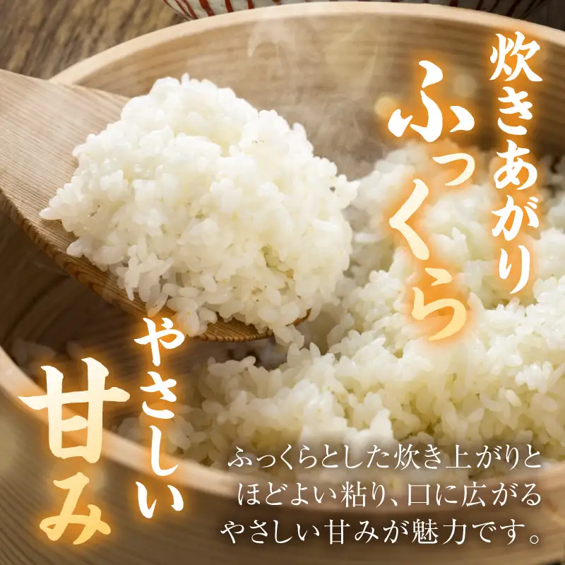 令和８年産　ふっくらもっちり　夢つくし　５kg（精米） _ATS0108