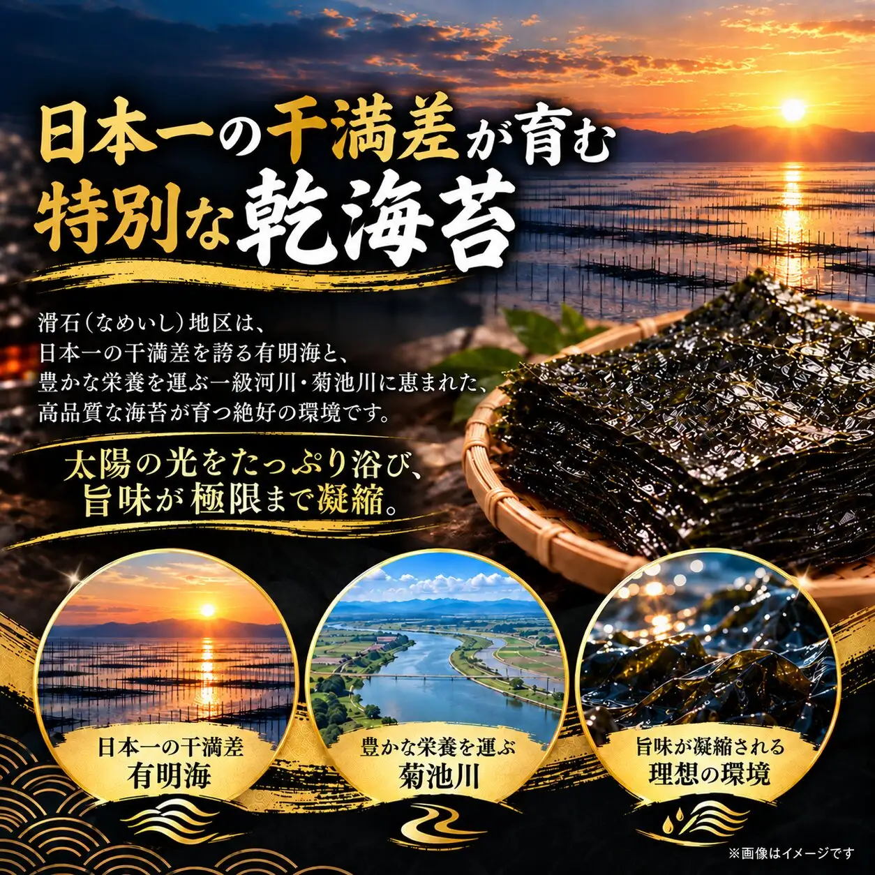 有明産高級海苔 乾海苔 50枚（1袋10枚入り×5袋）
