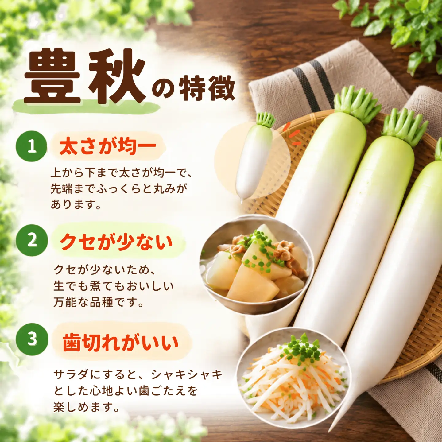 やまもと農産の大根 『豊秋』 5kg