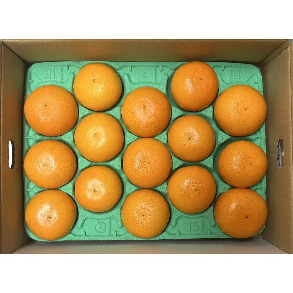 せとか　約３kg（2月上旬以降発送）