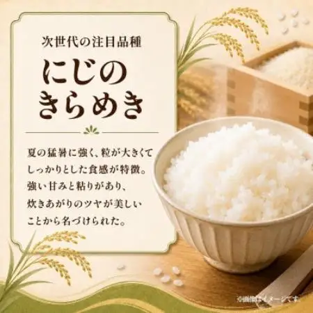 【毎月定期便】お米屋さんのにじのきらめき 精米 5kg(1袋) 全3回【4094564】