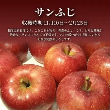 【青森直送 季節の味覚をお届け!】サンふじ 10kg (家庭用) 1箱 青森産 産地直送 限定生産【配送不可地域：離島】【1789980】