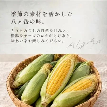八ヶ岳・AlgAe とうもろこしのバスクチーズケーキ 4号【配送不可地域：離島】【1789797】