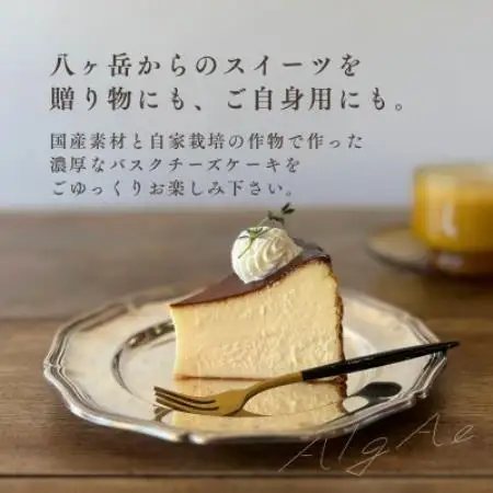 八ヶ岳・AlgAe バスクチーズケーキ プレーン 4号【配送不可地域：離島】【1789799】
