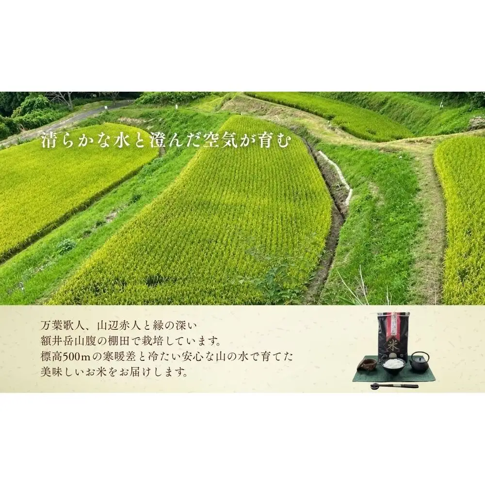 特別栽培米 ゆうだい21 白米 5kg ／ あかひと農園 あかひと米 米 精米 ご飯 棚田 奈良県 宇陀市