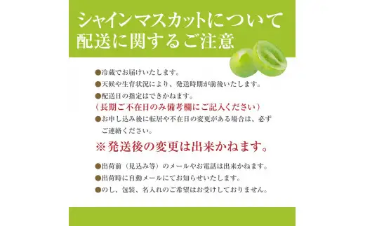 シャインマスカット 【2027年発送】秀品 山梨 4房 (約2.2kg) ぶどう 葡萄 山梨県 フルーツ 果物 くだもの ギフト 産地直送 人気  Inakakara厳選 [5839-1980]