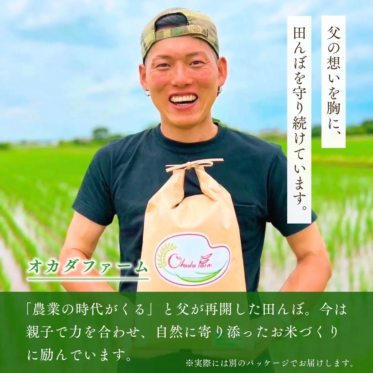 ＜6ヵ月定期便＞【令和8年産】 お米マイスターセレクト茨城産コシヒカリ(玄米30kg) | 玄米  コシヒカリ 米 お米 ごはん  