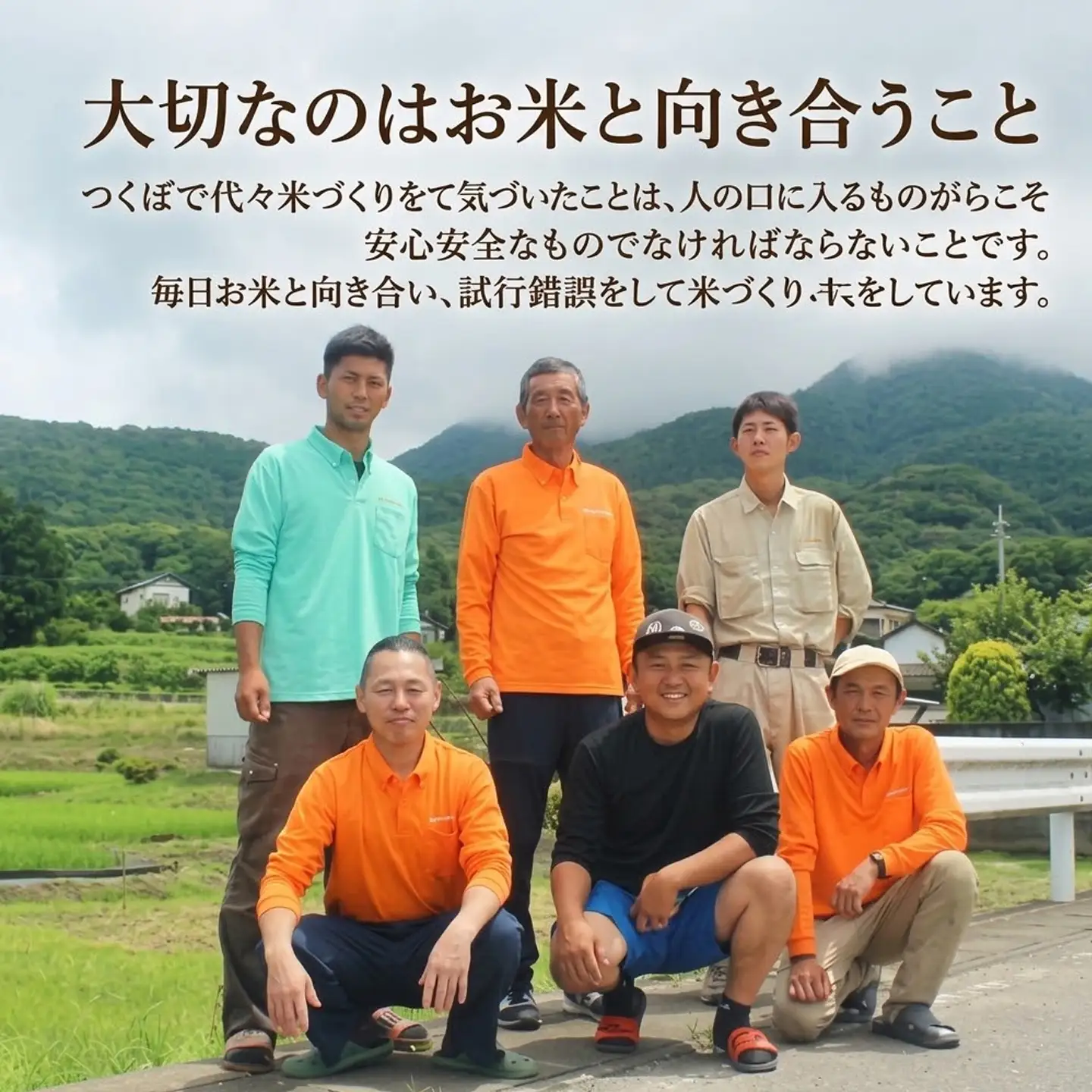 【3ヵ月定期便】令和8年産 米 ミルキークイーン 27kg ミルキー 夢田ファーム