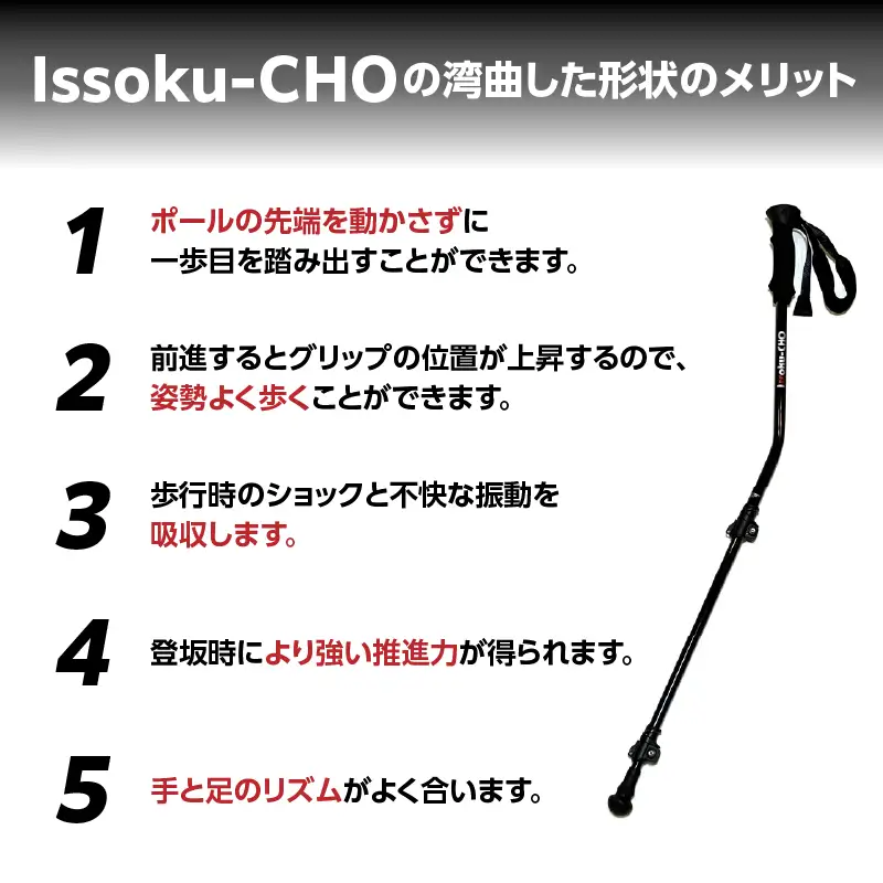 ウォーキングポール Issoku-CHO（1足長） CL（カムレバー式） オールブラック 2本1セット R17031