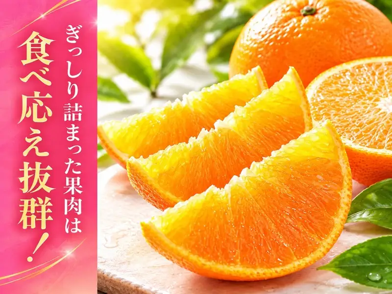 【2027年2月上旬から順次発送予定】甘平 2.5kg M〜3Lサイズ混合｜B579