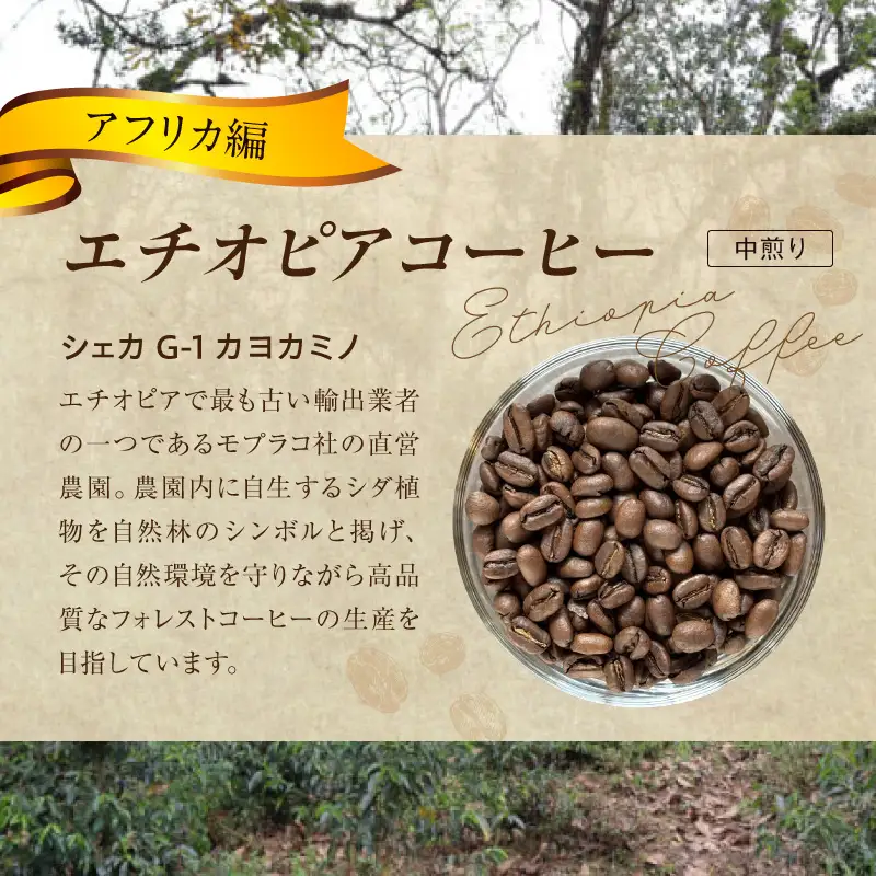 風味際立つ 手鍋焙煎コーヒー豆 ～アフリカ編～ （豆） 100g×2袋 _SC0108