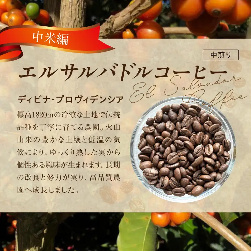 風味際立つ 手鍋焙煎コーヒー 豆～中米編～ （豆） 100g×2袋 _SC0308