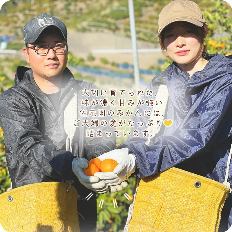 和歌山県産 有田みかん【訳あり 家庭用】約2kg 小玉 3S～Sサイズ おまかせ_DI6064