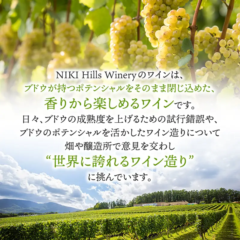 ワイン NIKI Hills Chardonnay 2024 750ml×1本 白ワイン 洋酒 お酒 アルコール ブドウ ぶどう [株式会社NIKI Hillsヴィレッジ]