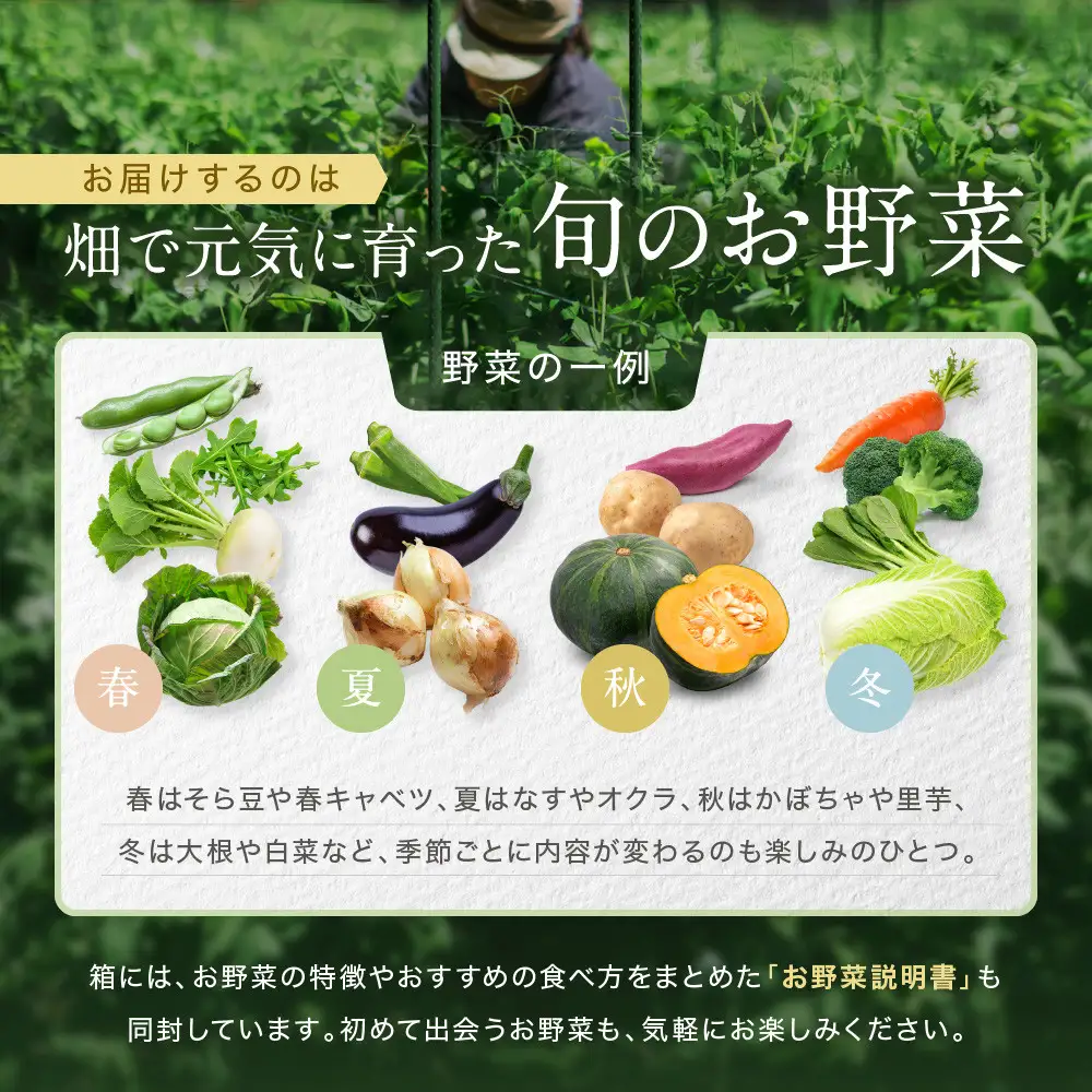 【先行予約 2027年5月より発送】【全3回定期便】農家からお届け！旬のお野菜たっぷり8種セット