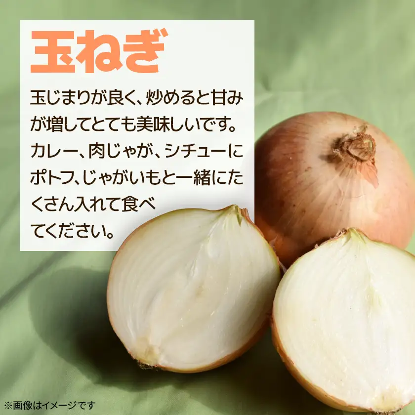 【北海道訓子府町】ゆめいころ(ジャガイモ)10kg+玉ねぎ10kg 　【配送不可地域：離島・沖縄県】【1771323】