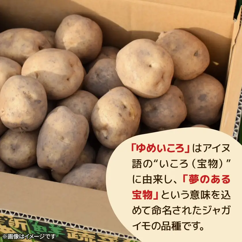 【北海道訓子府町】ゆめいころ(ジャガイモ)10kg【配送不可地域：離島・沖縄県】【1771326】