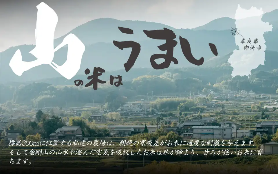 金剛山麓のおいしいお米【令和8年度産ヒノヒカリ５㎏】【精米済】 ／ 奥野ファーム 大和金剛山麓 お米 白米 奈良県 御所市【okfm0004】