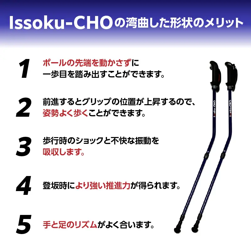 ウォーキング Issoku-CHO（1足長） WG メタリックネイビー 2本1セット R17027