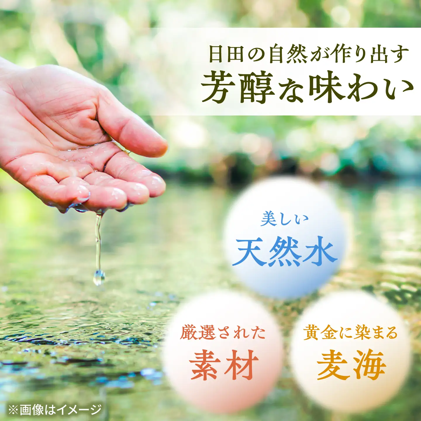 老松酒造 麦焼酎 夜明 ブランデー樽貯蔵 37度 720ml 1本 日田市 / 深見酒舗 よあけ YOAKE[AREY021]