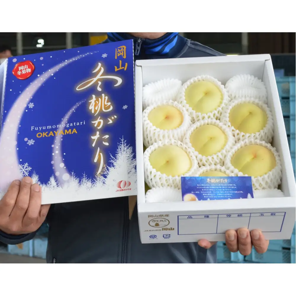 岡山冬桃がたり約1.35kg（7～9玉）【2026年12月上旬以降発送】
