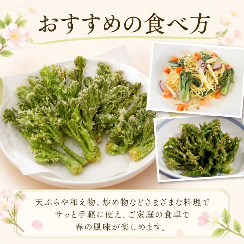 【 先行予約 】 タラの芽 200g 春の味覚 たらの芽 山菜 三好市 徳島