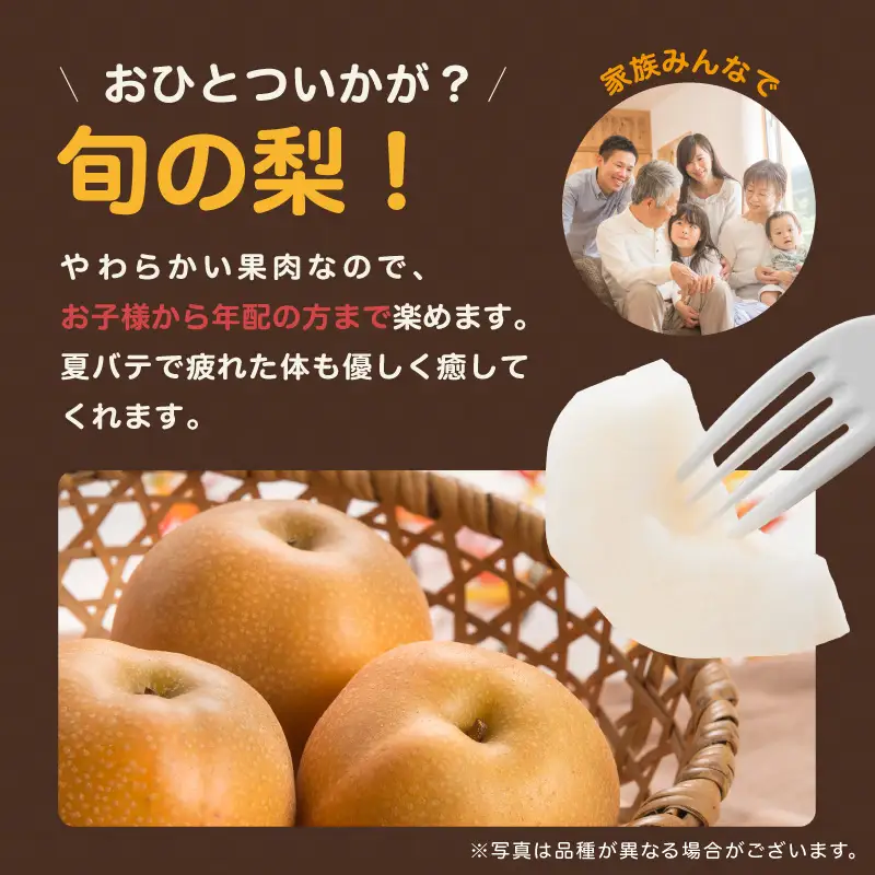 【数量限定】南信州生まれのジューシーで甘い梨「南水梨」 約2.3kg 大玉4玉 糖度14.0以上 | 下伊那園芸農業協同組合