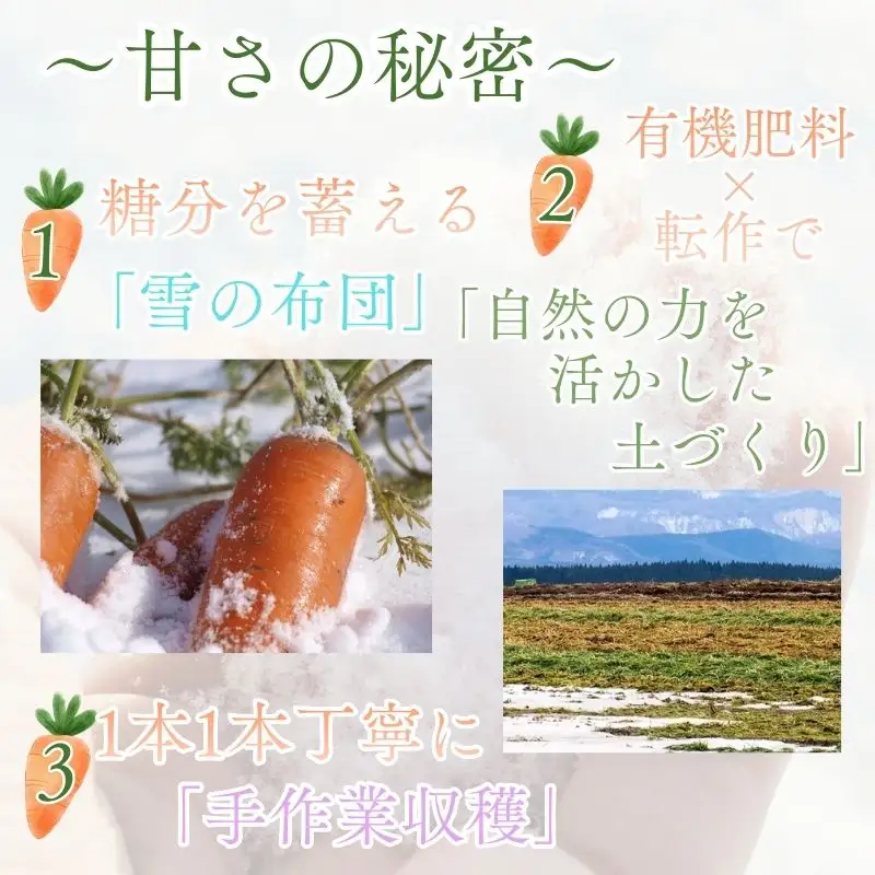 【冬季数量限定】ふかうら雪人参 約10kg 