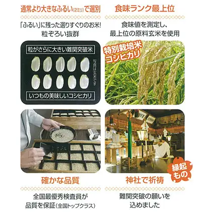 令和8年産 難関突破米 5kg お米 コシヒカリ新潟県田上町