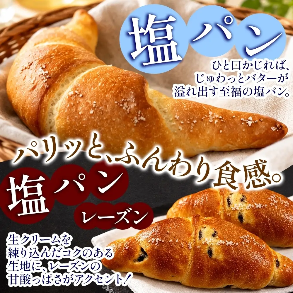 塩パンバラエティーBOX ベーカリーグラース パン（OI-5）