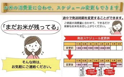 ＜令和8年産＞  こしひかり 【玄米】60kg定期便(10kg×6回） 山形県真室川町　お申し込み完了後２週間程度で発送　◆RR8K6010M-G9999