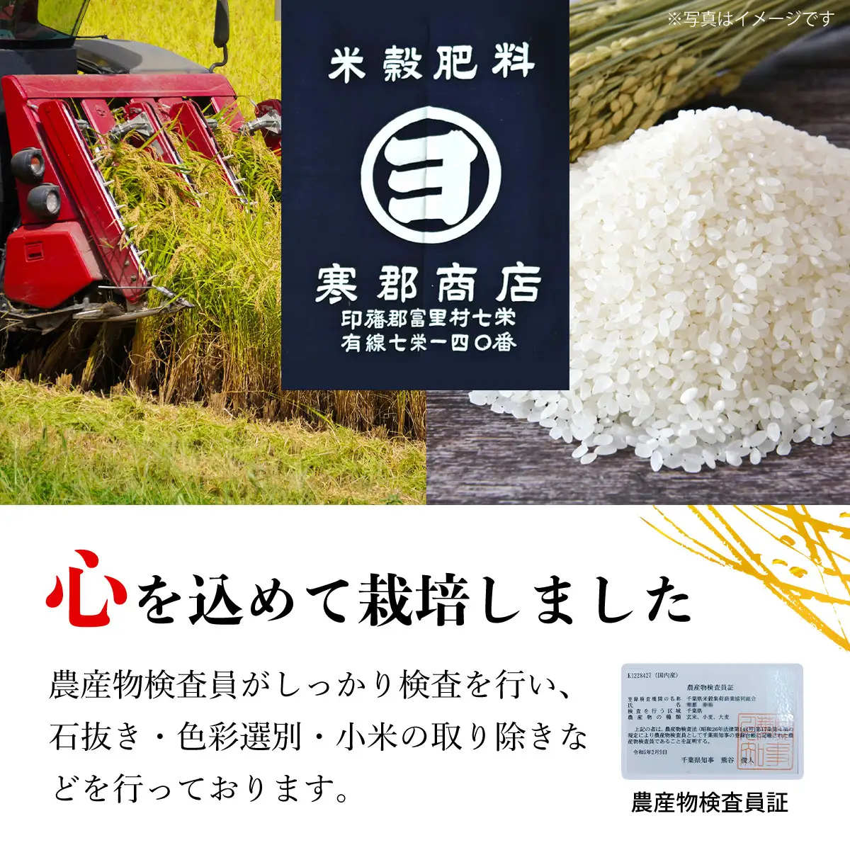 【令和8年産】千葉県富里市産 こしひかり 精米5kg TTMAA001