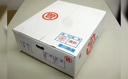 香川県産 ゆら早生みかん 約5㎏　L-S　約40-60個_Z2600552