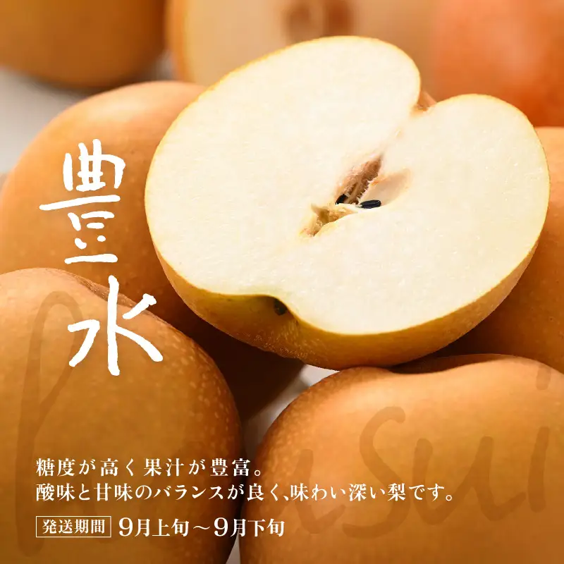 近ちゃん梨 食べ比べセット 合計6kg 【幸水・豊水】 各3kg 定期便2027年8月9月発送 [B-6304]