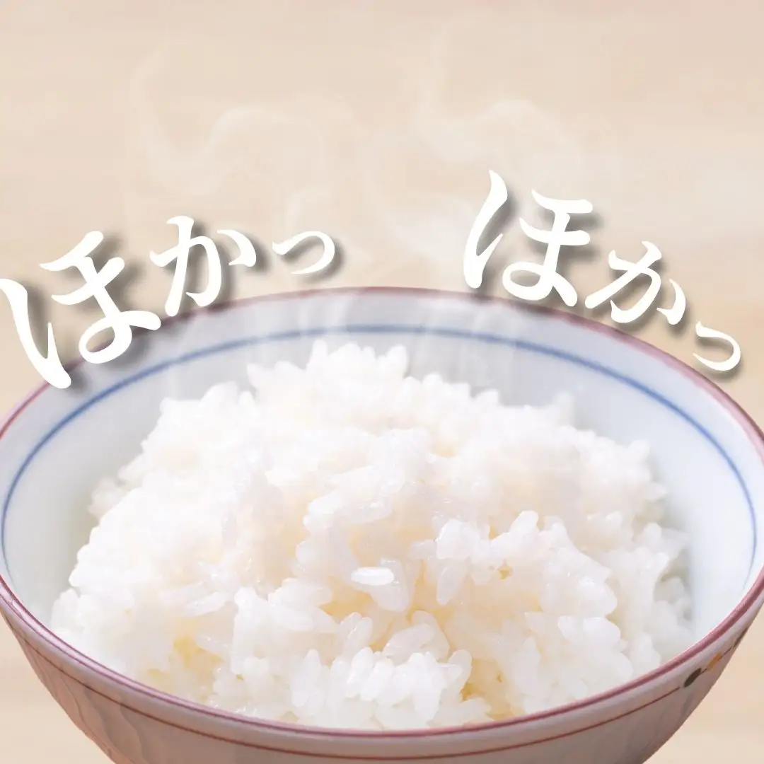 【令和8年産 新米】 お米 コシヒカリ 5kg 海士町産